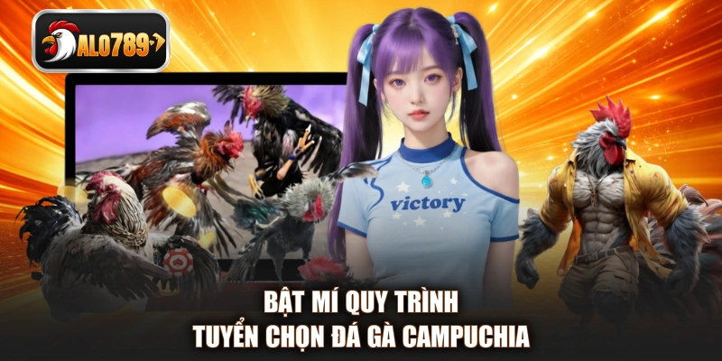 Bật mí quy trình tuyển chọn đá gà Campuchia