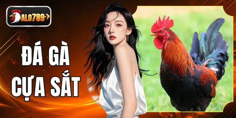 Đá Gà Cựa Sắt