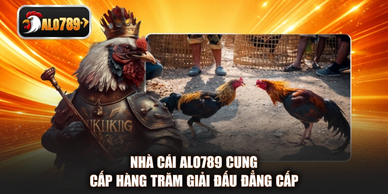 Nhà cái ALO789 cung cấp hàng trăm giải đấu đẳng cấp
