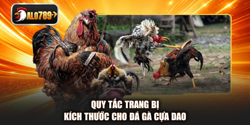 Quy tắc trang bị kích thước cho đá gà cựa dao