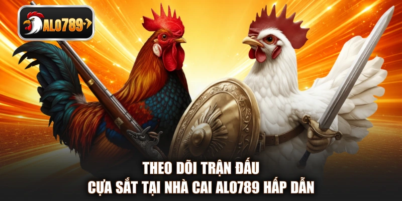 Theo dõi trận đấu cựa sắt tại nhà cai ALO789 hấp dẫn